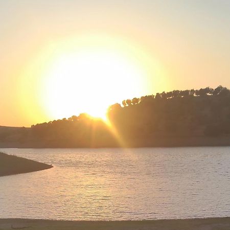 Vila Nova Quinta Moderna Torramo Em Oliveiras, Campo De Laranjas, Na Nacional 2, Alentejo 13750 M2 Torrão Exteriér fotografie
