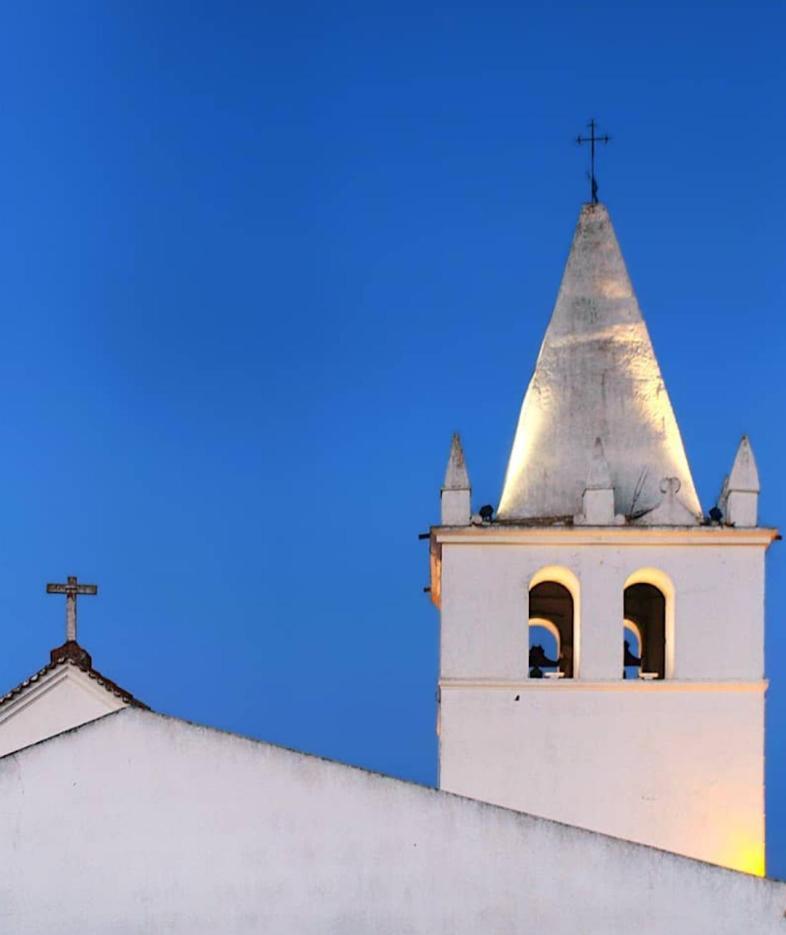 Vila Nova Quinta Moderna Torramo Em Oliveiras, Campo De Laranjas, Na Nacional 2, Alentejo 13750 M2 Torrão Exteriér fotografie
