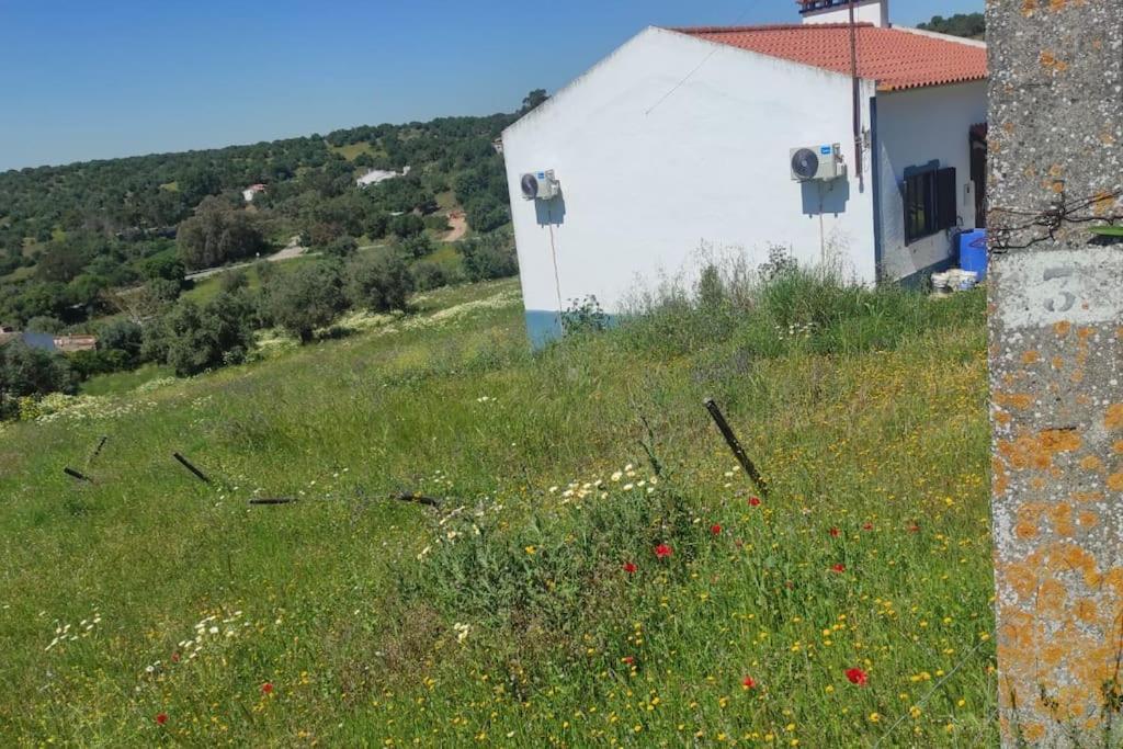 Vila Nova Quinta Moderna Torramo Em Oliveiras, Campo De Laranjas, Na Nacional 2, Alentejo 13750 M2 Torrão Exteriér fotografie
