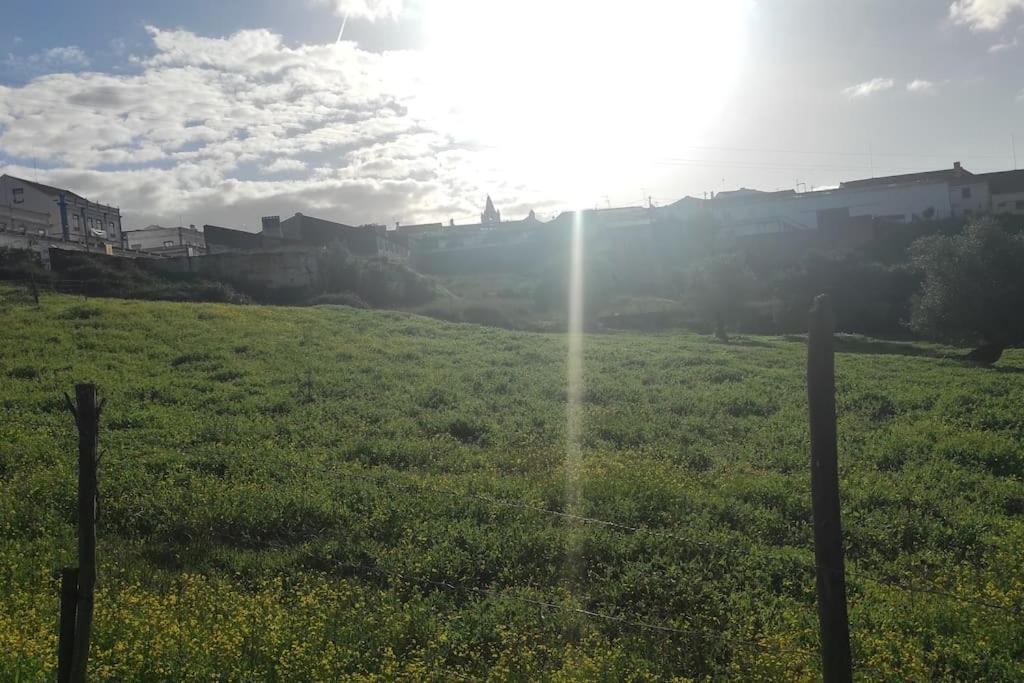 Vila Nova Quinta Moderna Torramo Em Oliveiras, Campo De Laranjas, Na Nacional 2, Alentejo 13750 M2 Torrão Exteriér fotografie
