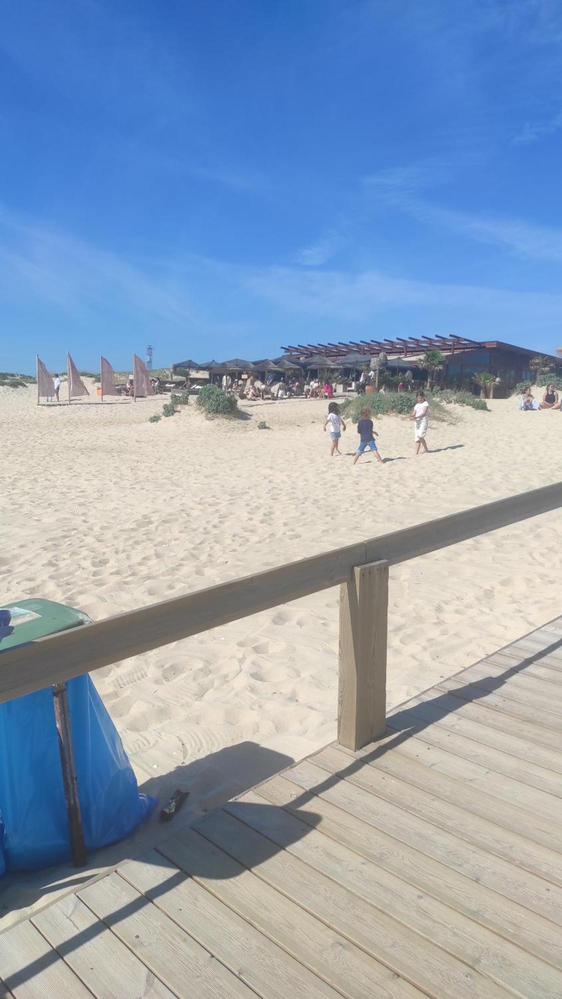 Vila Nova Quinta Moderna Torramo Em Oliveiras, Campo De Laranjas, Na Nacional 2, Alentejo 13750 M2 Torrão Pokoj fotografie