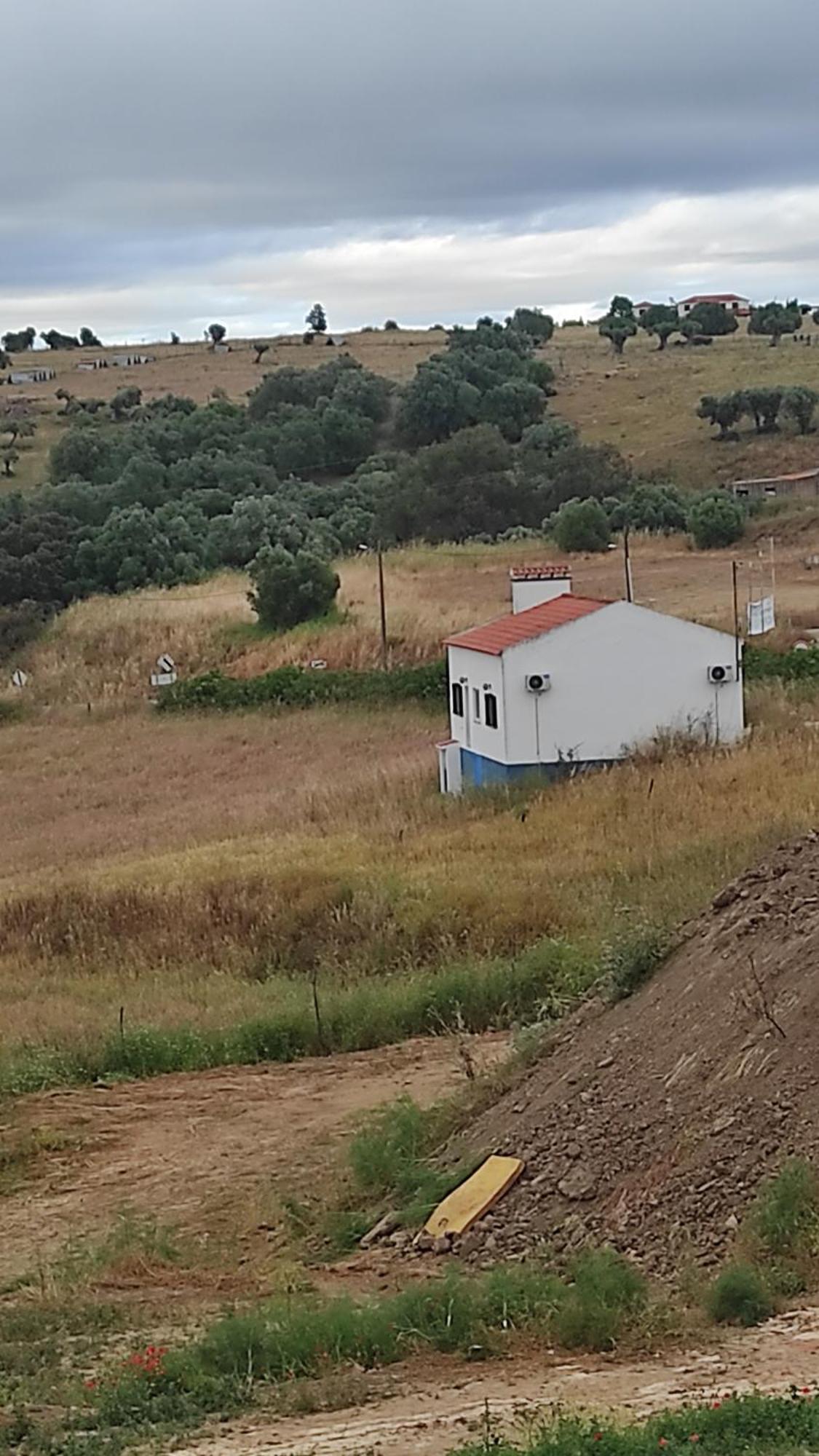 Vila Nova Quinta Moderna Torramo Em Oliveiras, Campo De Laranjas, Na Nacional 2, Alentejo 13750 M2 Torrão Exteriér fotografie