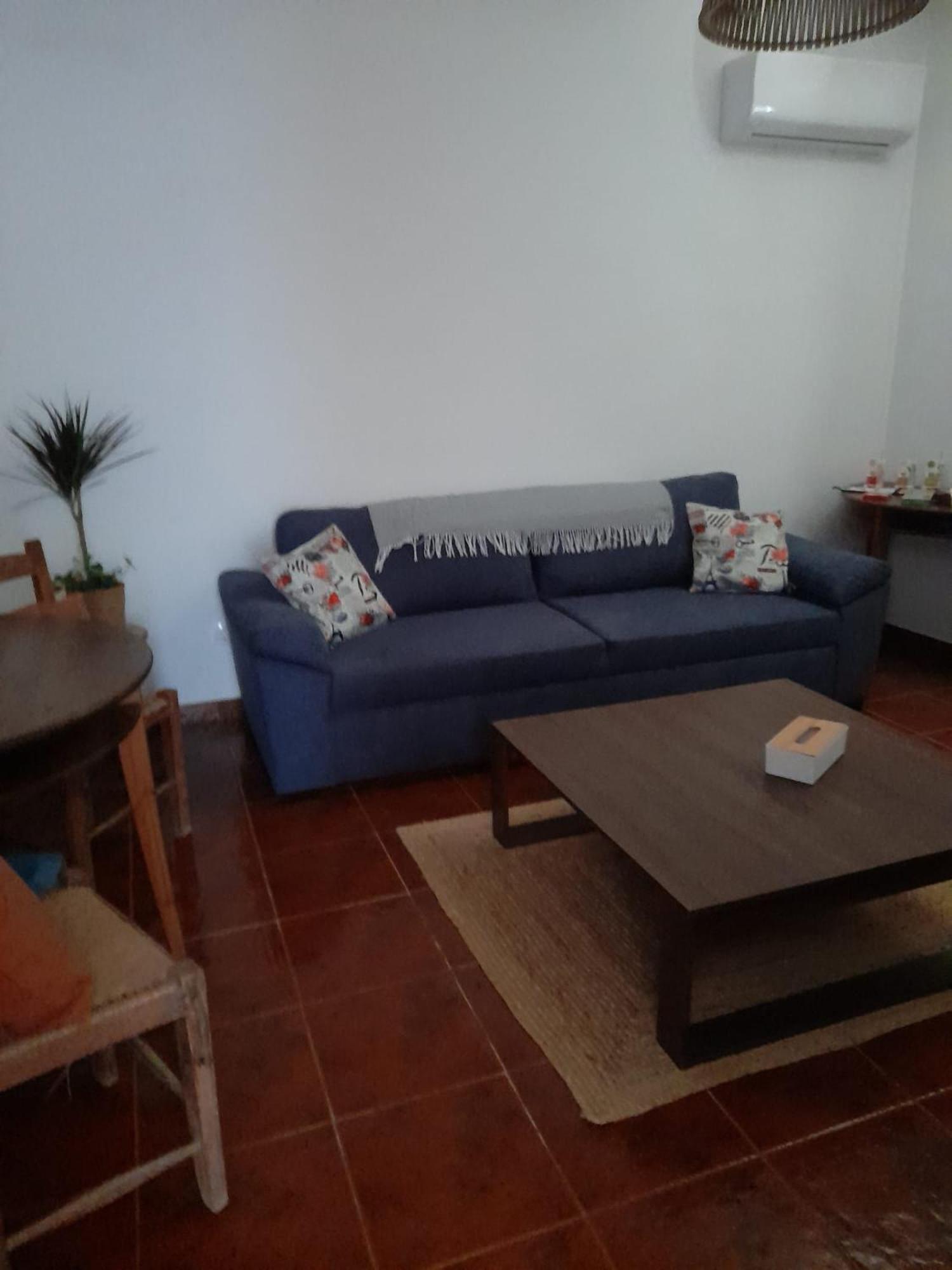Vila Nova Quinta Moderna Torramo Em Oliveiras, Campo De Laranjas, Na Nacional 2, Alentejo 13750 M2 Torrão Exteriér fotografie