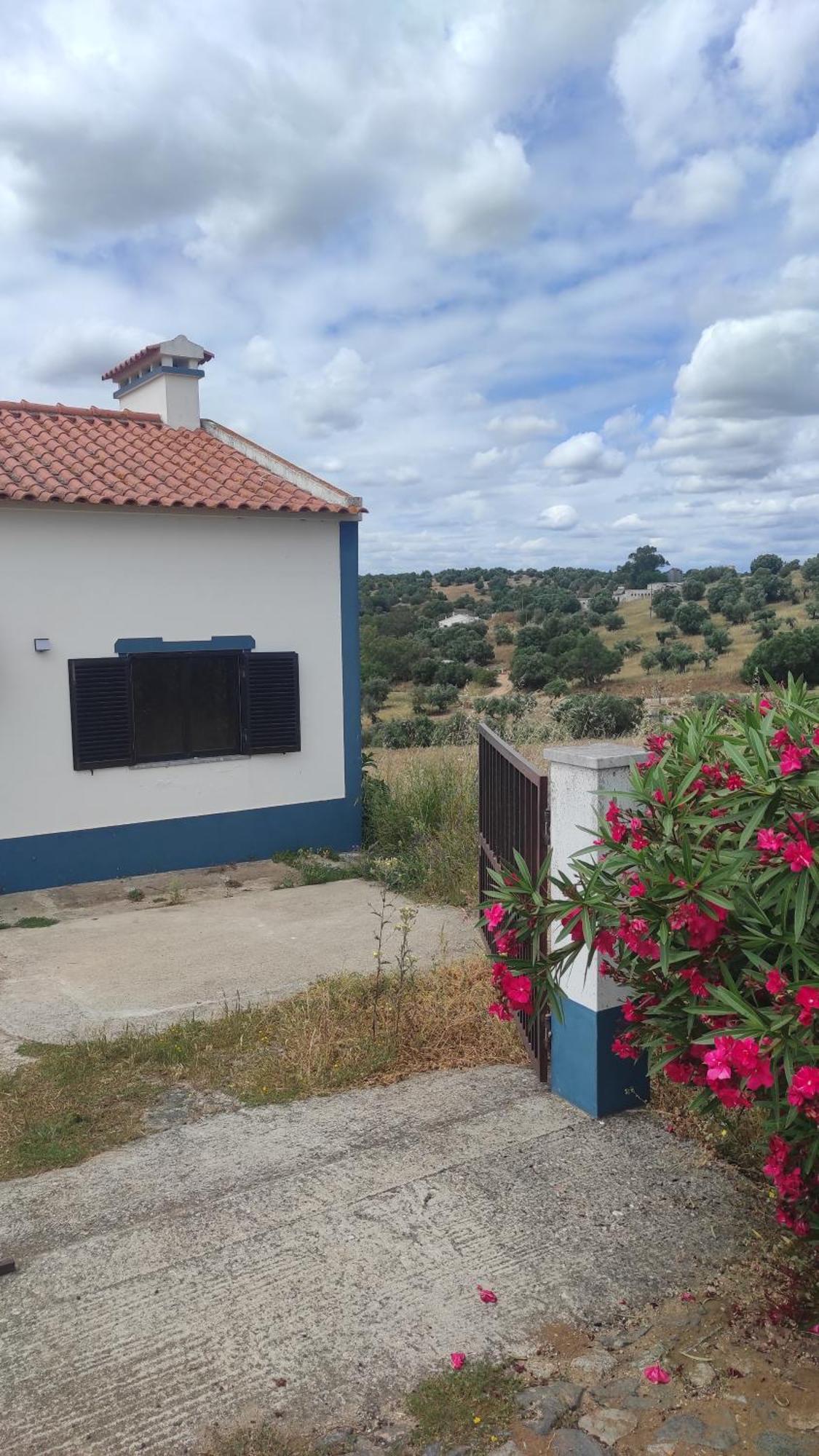Vila Nova Quinta Moderna Torramo Em Oliveiras, Campo De Laranjas, Na Nacional 2, Alentejo 13750 M2 Torrão Exteriér fotografie