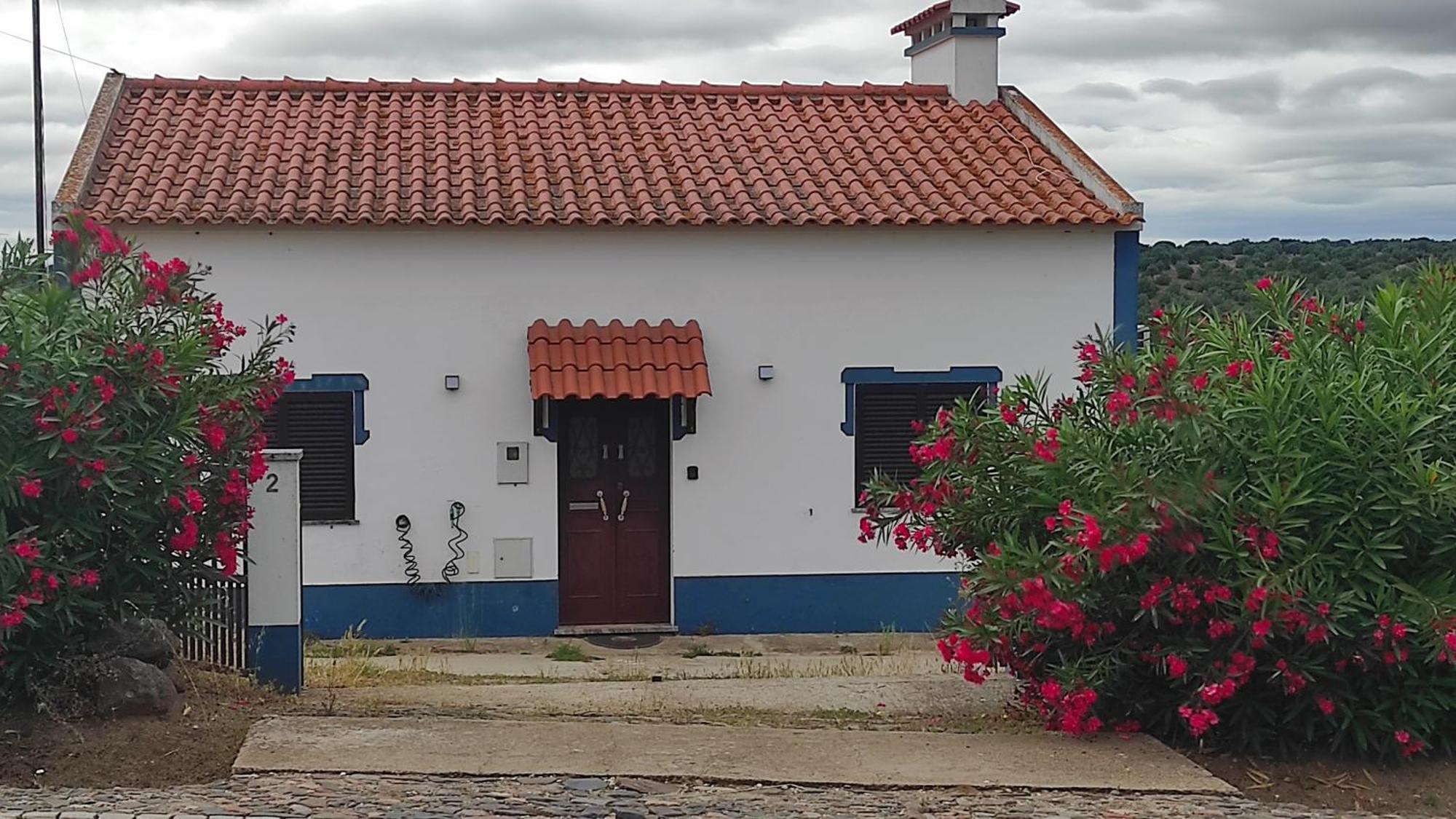 Vila Nova Quinta Moderna Torramo Em Oliveiras, Campo De Laranjas, Na Nacional 2, Alentejo 13750 M2 Torrão Exteriér fotografie