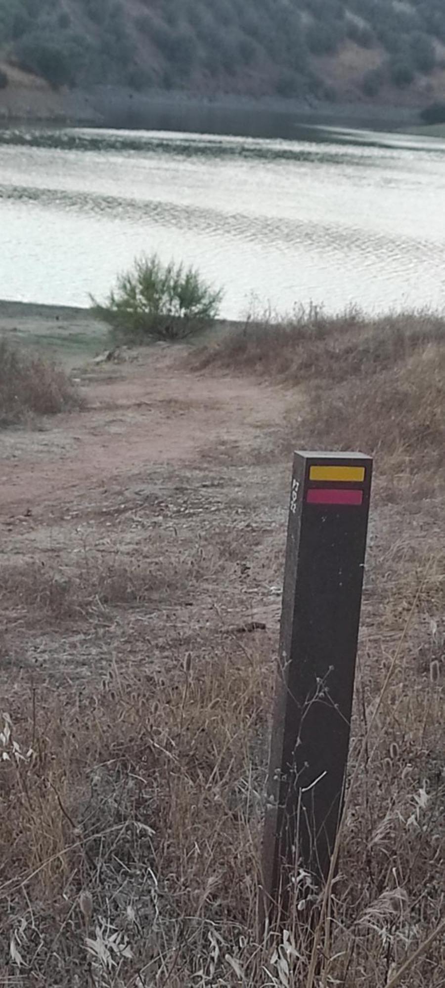 Vila Nova Quinta Moderna Torramo Em Oliveiras, Campo De Laranjas, Na Nacional 2, Alentejo 13750 M2 Torrão Exteriér fotografie