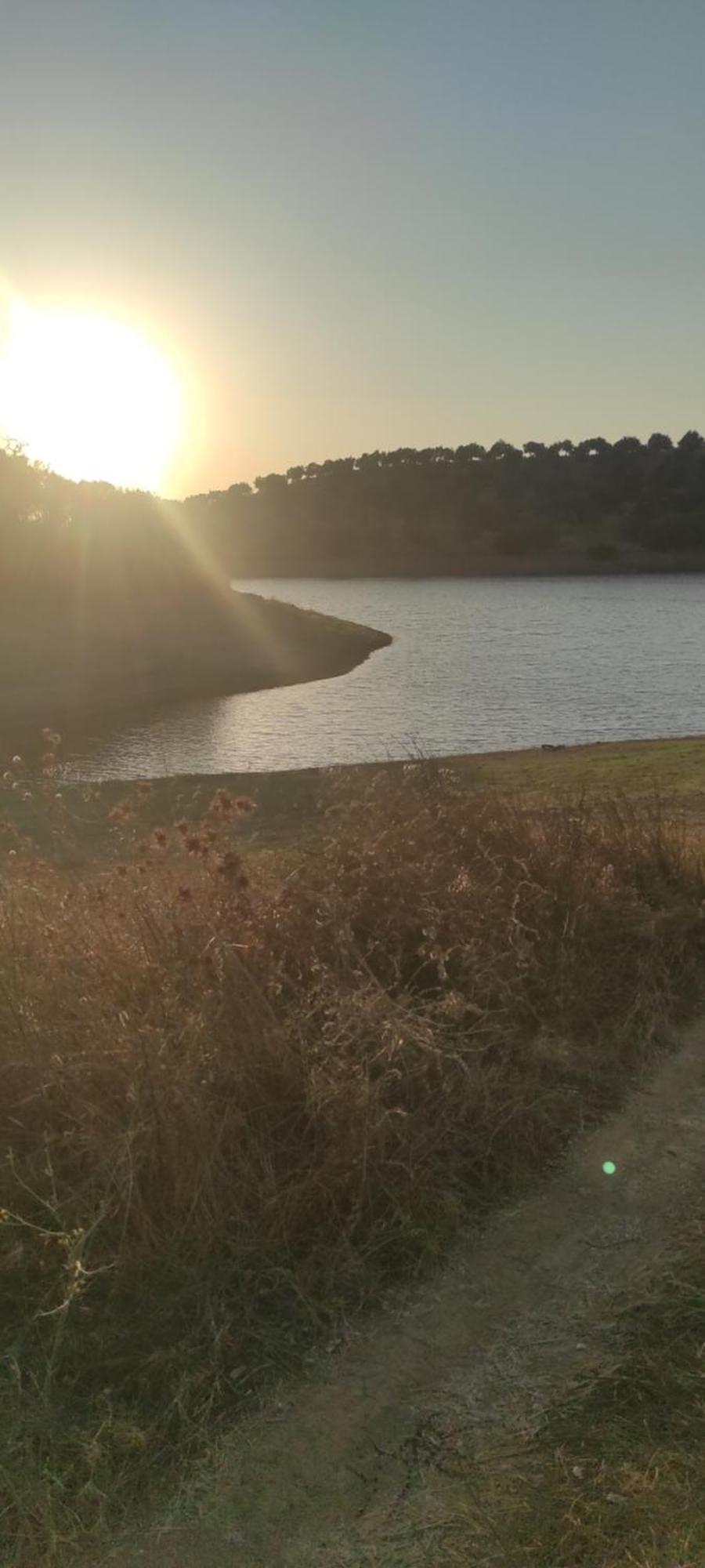Vila Nova Quinta Moderna Torramo Em Oliveiras, Campo De Laranjas, Na Nacional 2, Alentejo 13750 M2 Torrão Exteriér fotografie