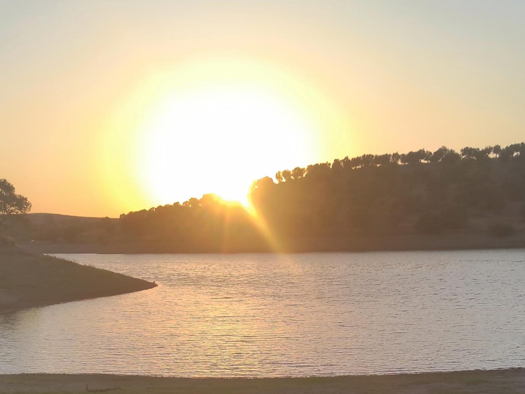 Vila Nova Quinta Moderna Torramo Em Oliveiras, Campo De Laranjas, Na Nacional 2, Alentejo 13750 M2 Torrão Exteriér fotografie