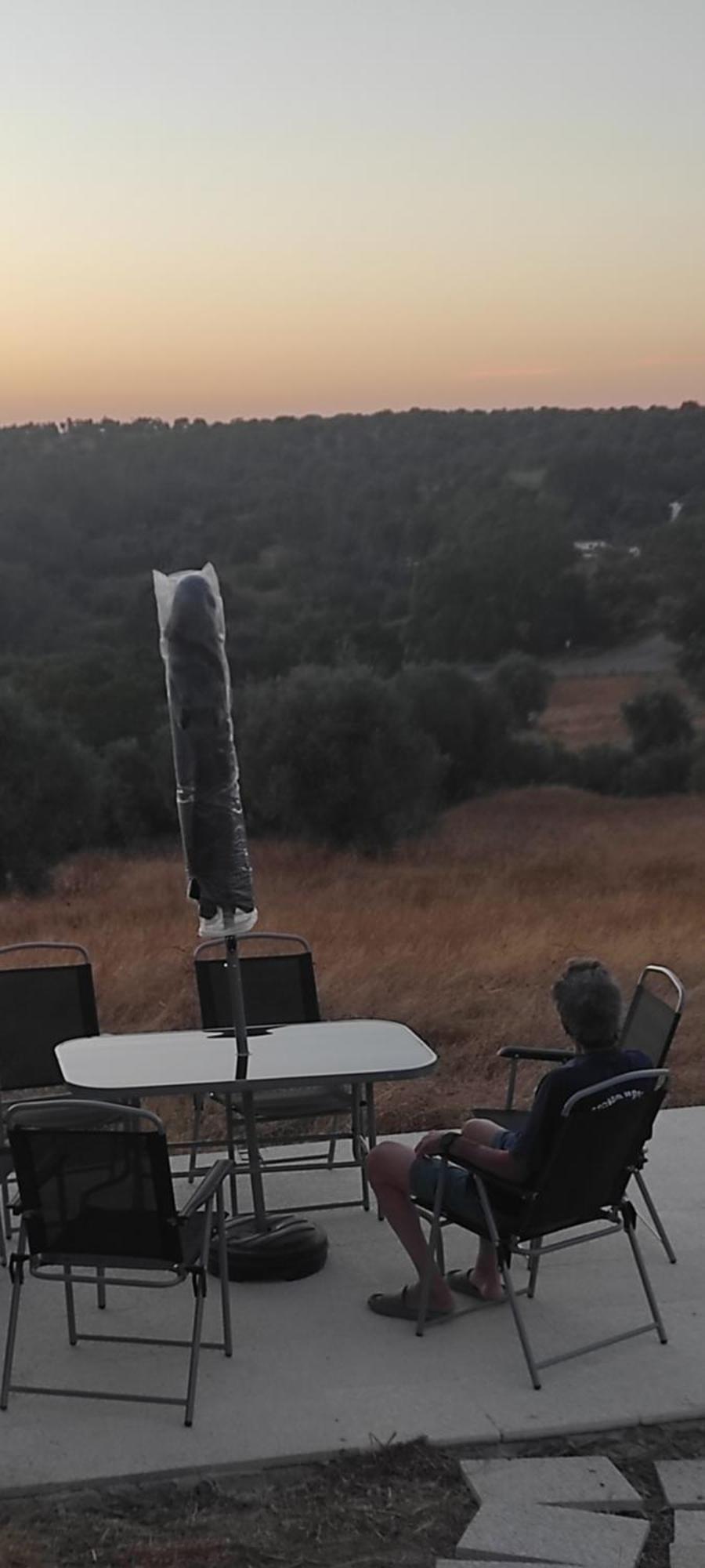 Vila Nova Quinta Moderna Torramo Em Oliveiras, Campo De Laranjas, Na Nacional 2, Alentejo 13750 M2 Torrão Exteriér fotografie